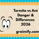 Termite vs Ant: Danger & Differences 2026