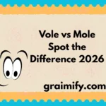 Vole vs Mole: Spot the Difference 2026