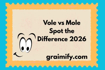 Vole vs Mole: Spot the Difference 2026