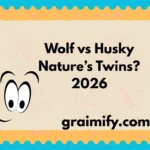Wolf vs Husky Nature’s Twins? 2026