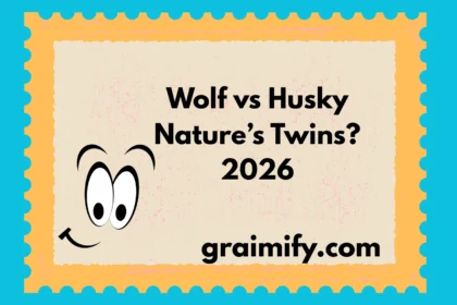 Wolf vs Husky Nature’s Twins? 2026