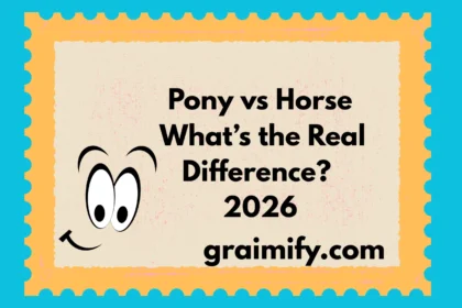 Pony vs Horse: What’s the Real Difference? 2026