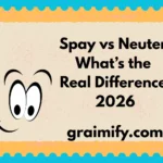 Spay vs Neuter What’s the Real Difference 2026
