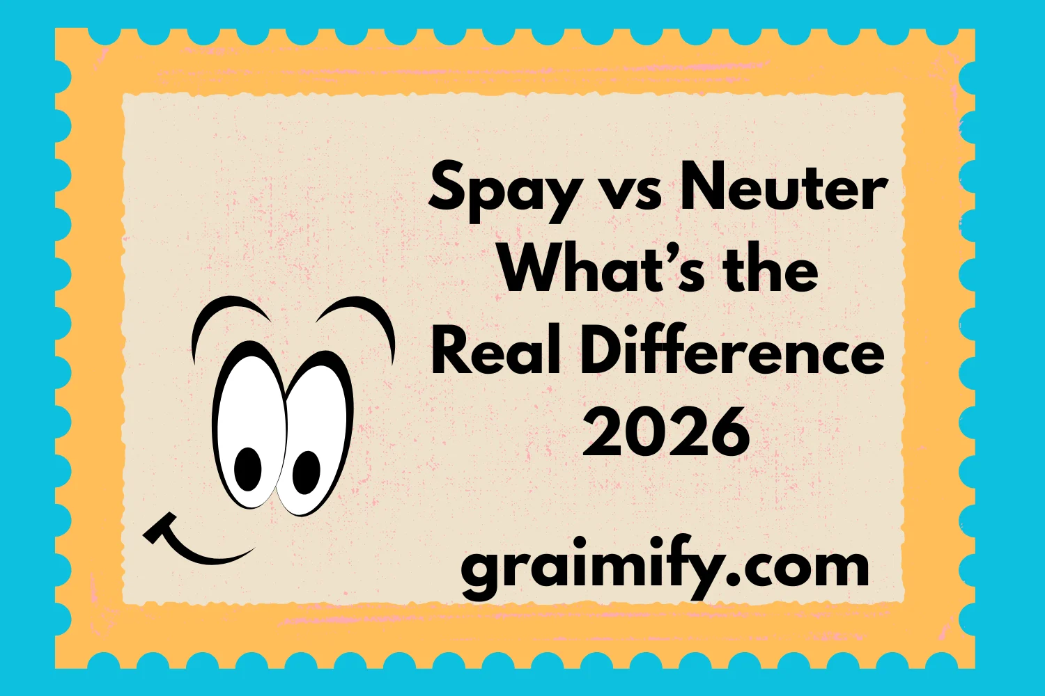 Spay vs Neuter What’s the Real Difference 2026