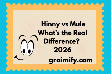 Hinny vs Mule What’s the Real Difference? 2026