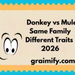 Donkey vs Mule Same Family,Different Traits 2026