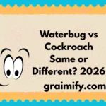 Waterbug vs Cockroach Same or Different? 2026