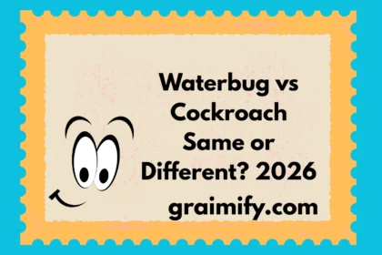 Waterbug vs Cockroach Same or Different? 2026