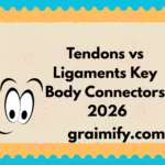 Tendons vs Ligaments Key Body Connectors 2026