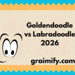 Goldendoodle vs Labradoodle 2026