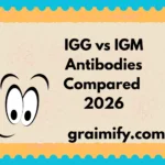 IGG vs IGM: Antibodies Compared 2026