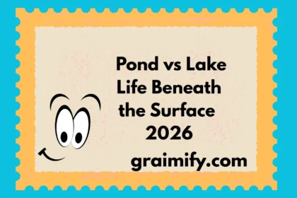 Pond vs Lake Life Beneath the Surface 2026
