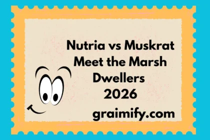 Nutria vs Muskrat Meet the Marsh Dwellers 2026