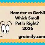 Hamster vs Gerbil Which Small Pet Is Right? 2026