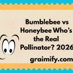 Bumblebee vs Honeybee: Who’s the Real Pollinator? 2026