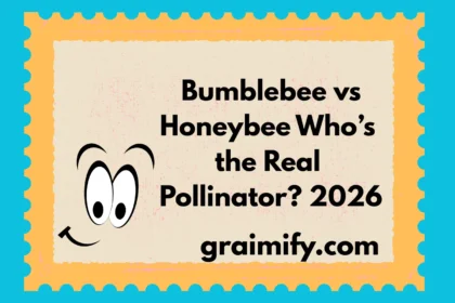 Bumblebee vs Honeybee: Who’s the Real Pollinator? 2026